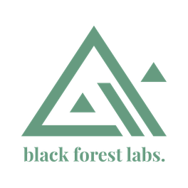 Black Forest Labs logo